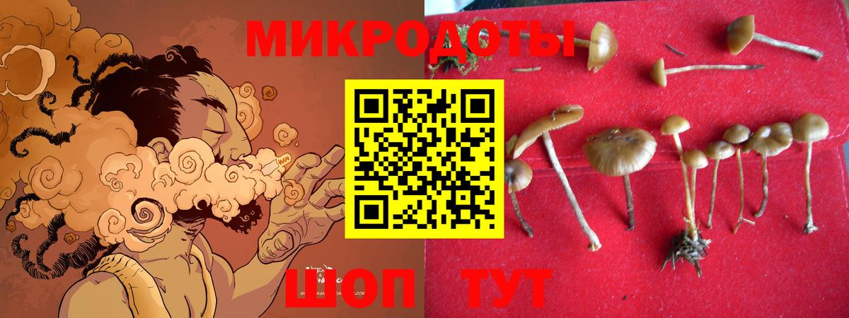 Псилоцибиновые грибы MAGIC MUSHROOMS  Псилоцибиновые грибы Psilocybine cubensis  что такое   Вход с VPN  Муравленко 